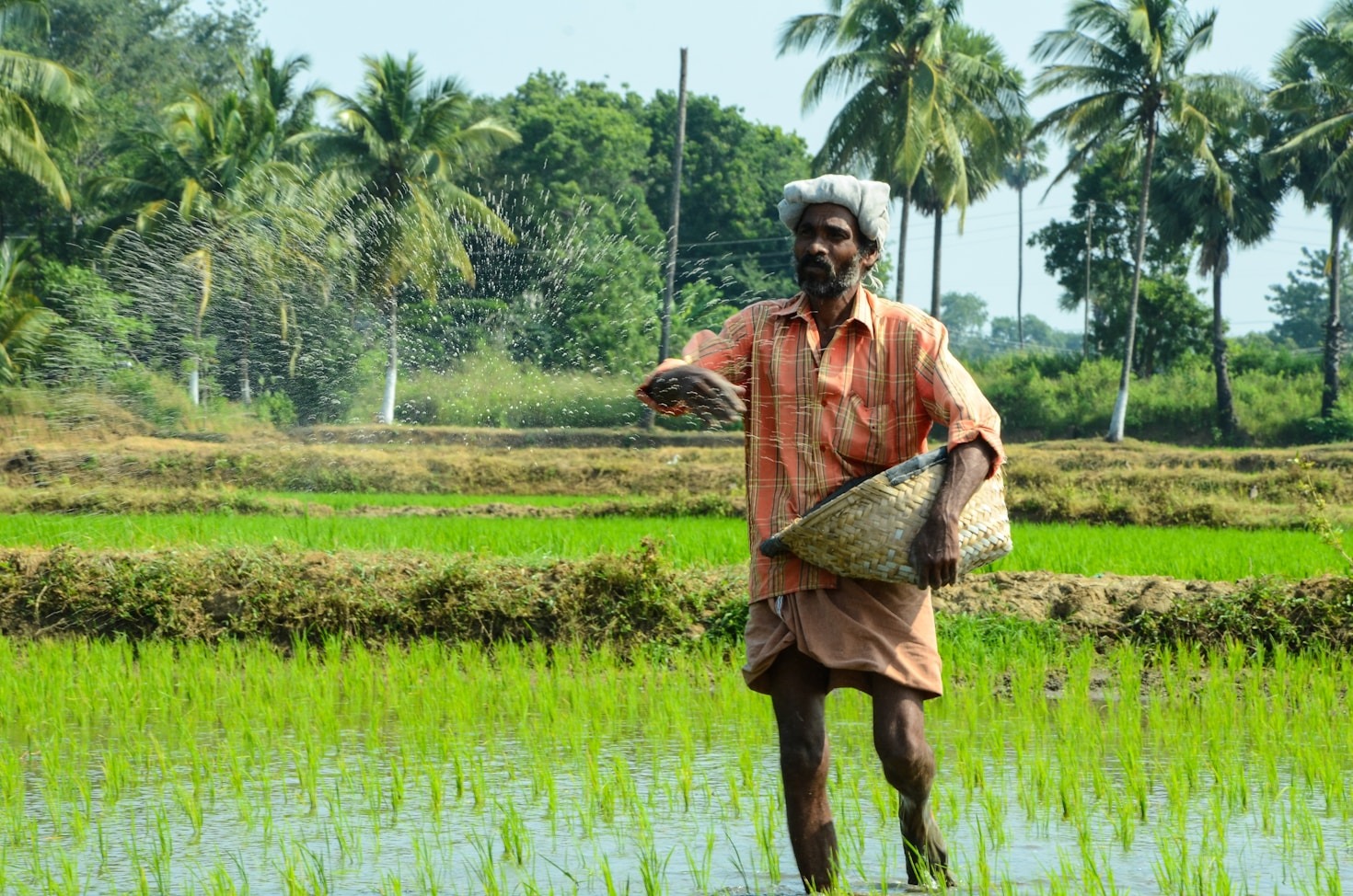 Conheça o Itinerário Técnico em Agronegócio